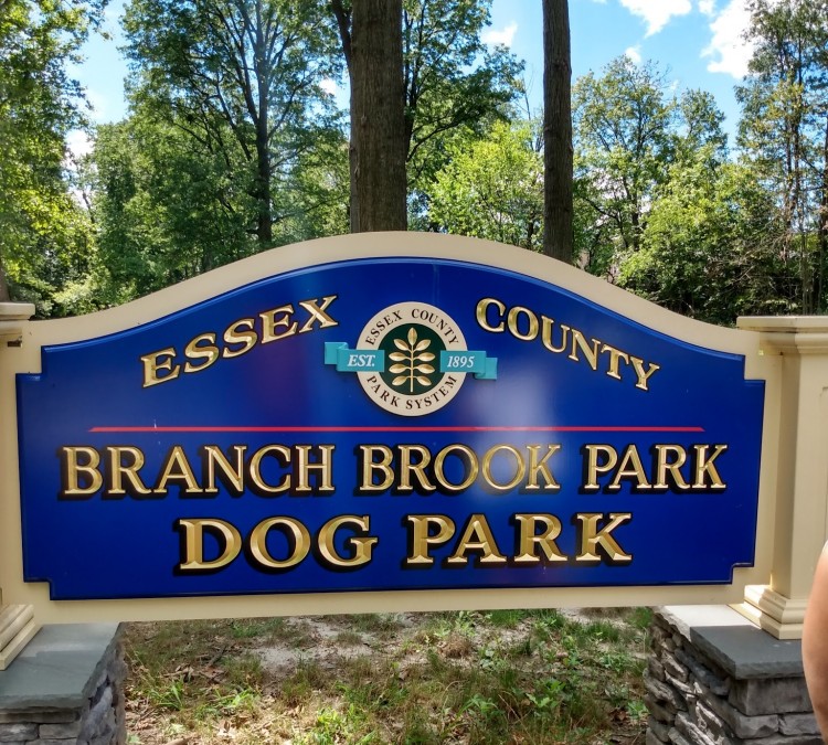essex-county-branch-brook-dog-park-photo